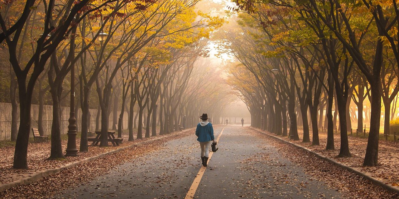 Persona entre arboles caminando sola